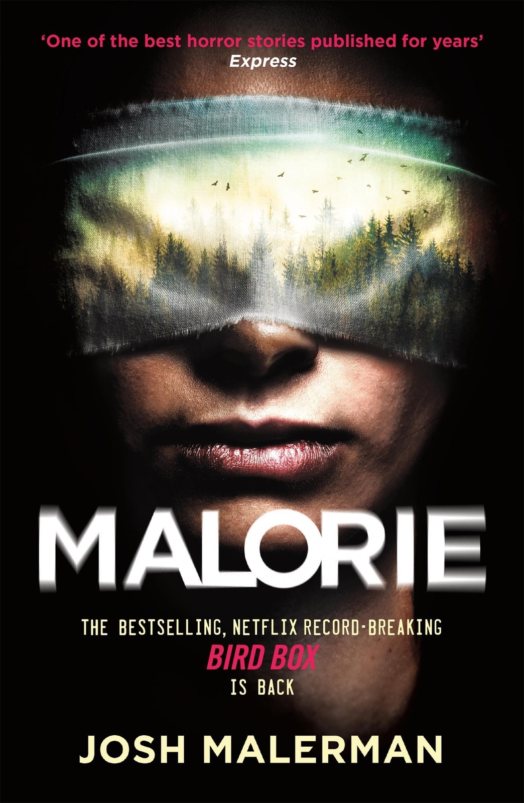 Thumbnail - Malorie, Josh Malerman