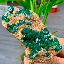 205G Natural green dioptase emerandine gemstone cluster mineral specimen
