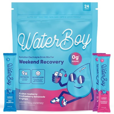 Weekend Recovery Variety | 3,200mg Electrolyte Powder Packets | Ginger + L-Th...