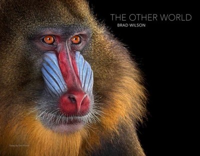 The Other World: Animal Portraits by Brad Wilson HARDBACK 9788862087476