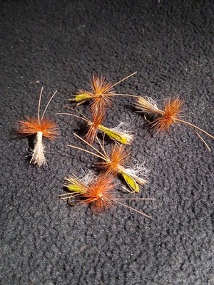 SLICK WATER SIZE 14 CADDIS OLIVE BROWN CUSTOM TIED DRY FLY