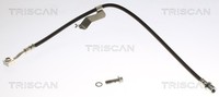 Bremsschlauch Triscan 8150 81011 FüR Tesla Model Allrad Heckantrieb Performance