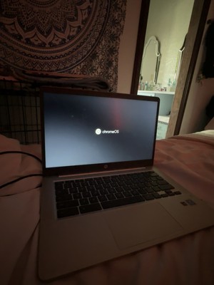 HP Chromebook laptop, Works Perfectly!