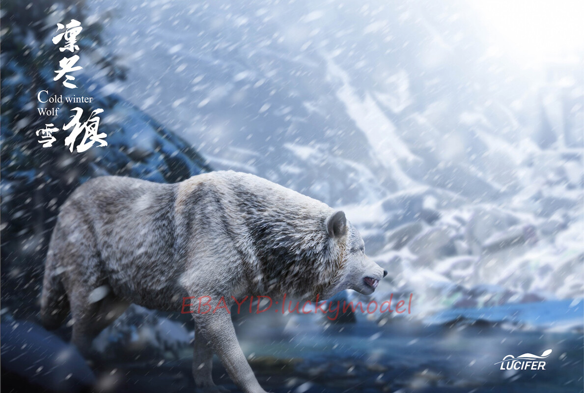 Lucifer 1/6 Snow Wolf LXF2208B Action Figure Model In Stock
