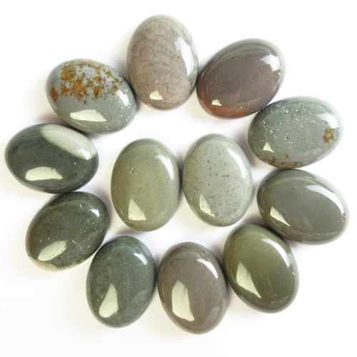 12Pcs American Picasso jasper Oval CAB CABOCHON 20x15x6mm L38739