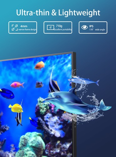 16" Portable Monitor 2K Tragbarer Monitore Display Mobiler Bildschirm mit VESA - Afbeelding 5 van 10