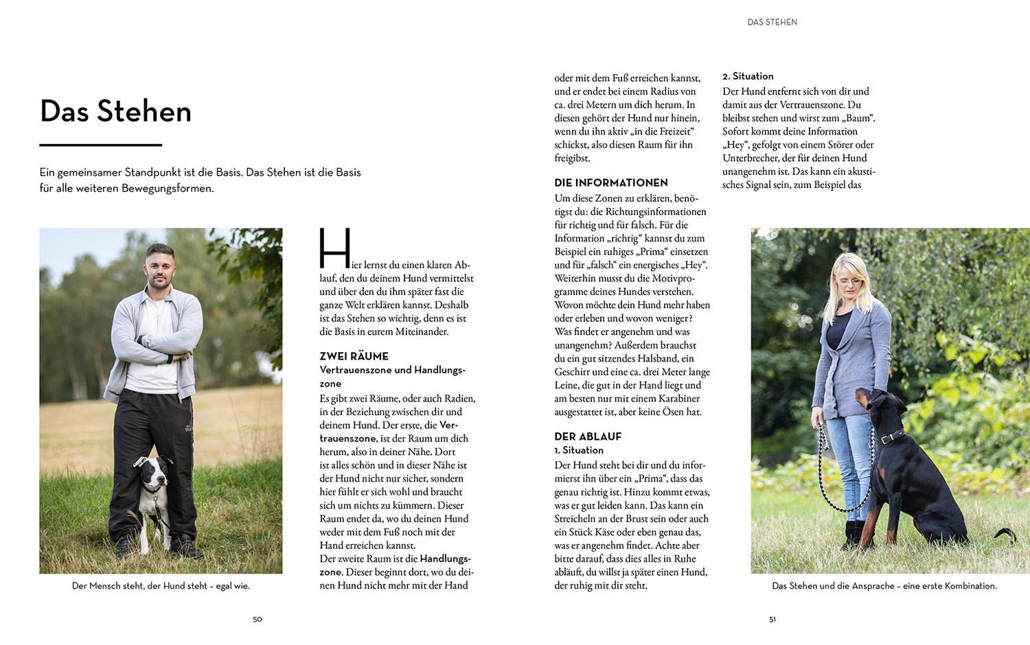 Thumbnail - Hunde Erziehen - Mit Der 5er-basis Kai Hartmann