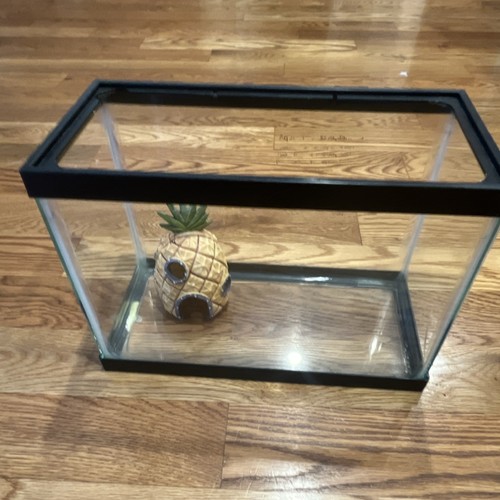 Glass Rectangle Aquarium Tank Only for All Water Types with Pineapple Decoration