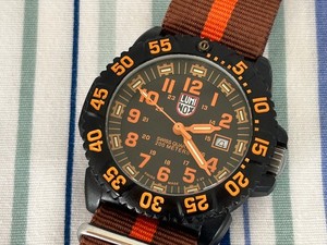 Luminox 3050 3950 | eBay