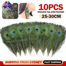 10pcs 25-30cm Natural Genuine Peacock Eye Feathers Vase Home Decor DIY Craft