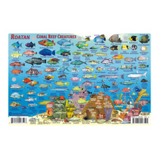 Franko Maps Fish ID Card Dive Map - Roatan