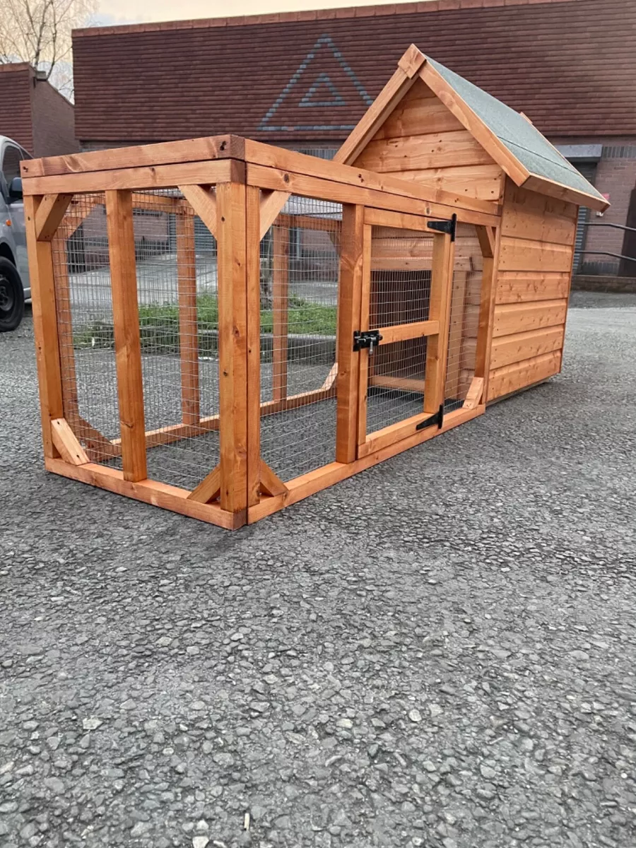 2 run dog clearance kennel