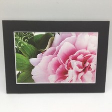 New Handmade 5x7 Matted Pink Flowers Floral Nature Free Ship 386