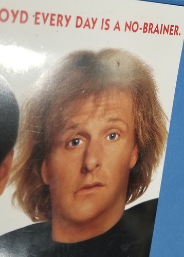 VINTAGE 1994 DUMM UND DÜMMER VIP WELTPREMIERE EINLADUNG, GROSSE HANDELSANZEIGE JIM CARREY! - Bild 9 von 13