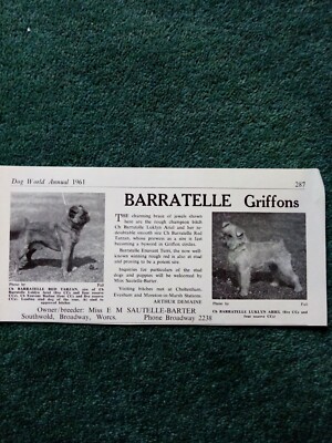 Xm1 Ephemera 1961 Werbung Hunde Miss E M Sautelle Tauschhandel Broadway Griffons 