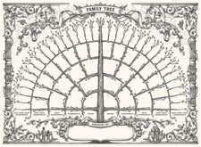 Palace Learning 1 Pack - Family Tree Chart To Fill In - 6 18" x 24", Grey 