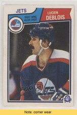 1983-84 O-Pee-Chee Lucien DeBlois #383 READ 0a1