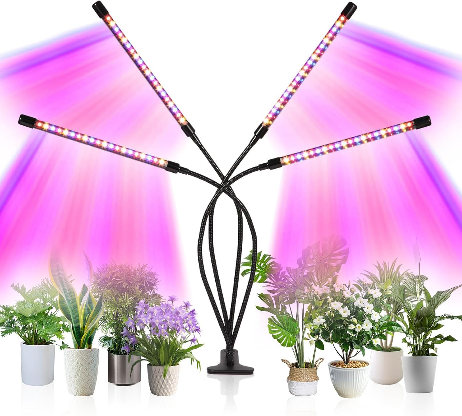 With 80 Leds, Full Spectrum, Timer, Adjustable Gooseneck