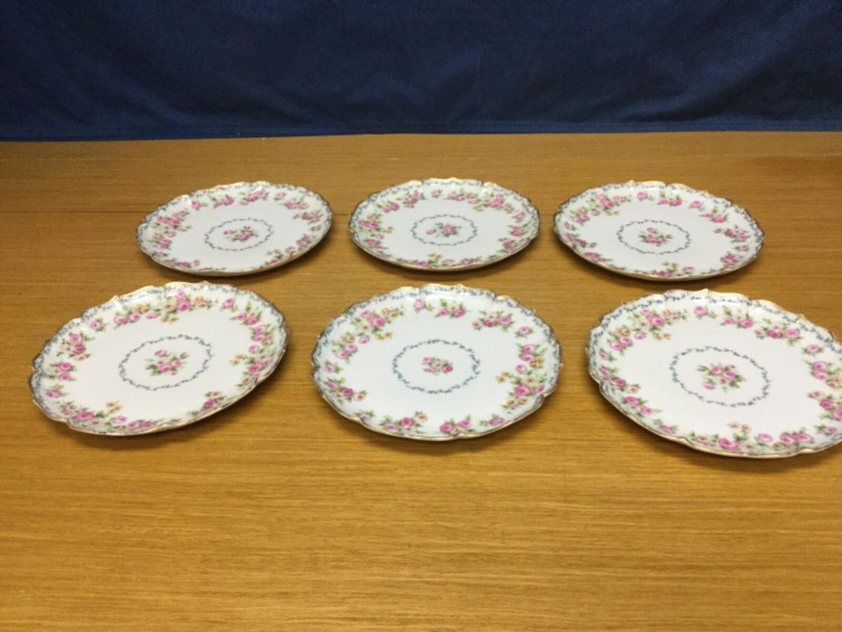 6 Antique GOA Limoges France Floral 8 1/4” Luncheons Plates | eBay