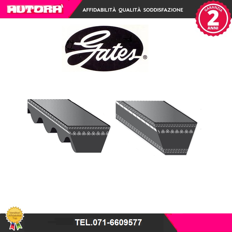 6516ES Cinghia trapezoidale (MARCA-GATES)