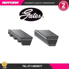 6262MC V-Belt AVX10 x 813La (BRAND-GATES).