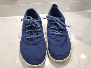 allbirds inserts