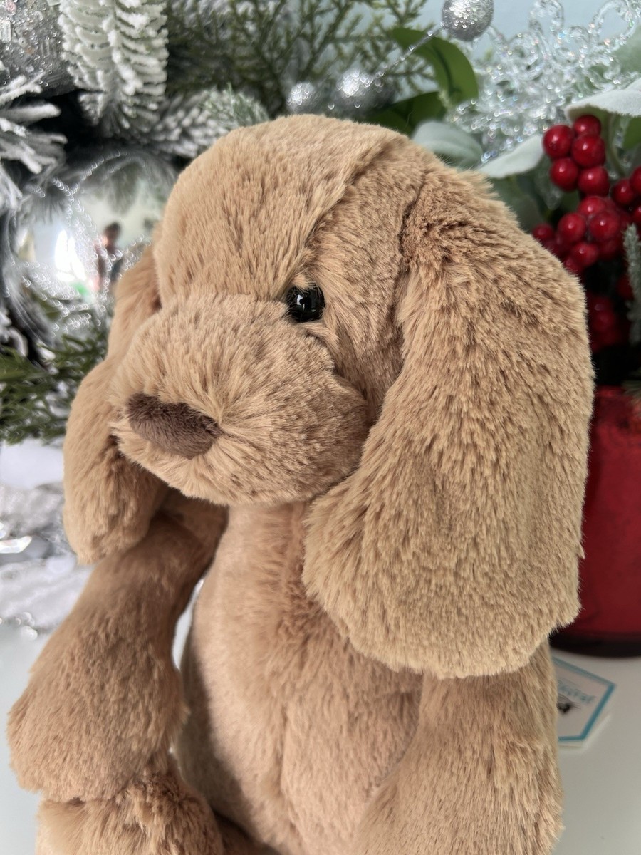 Jellycat Bashful Toffee Puppy Medium 12 Inches BAS3TPUS for sale
