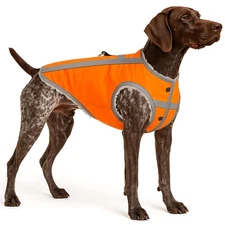 Reflective Dog Hunting Vest for Cold Weather â€“ Waterproof, Warm & M-Dog-Vest