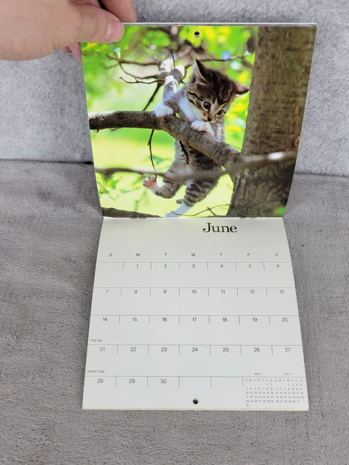 Mini calendario vintage 1987 gatos y gatitos prensa prado largo arte de gato coleccionable Foto 4 de 4