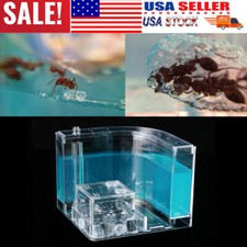 US 3D Ant Farm Gel Maze Educational Ant Nursery Live Feeding Ant Novelty System