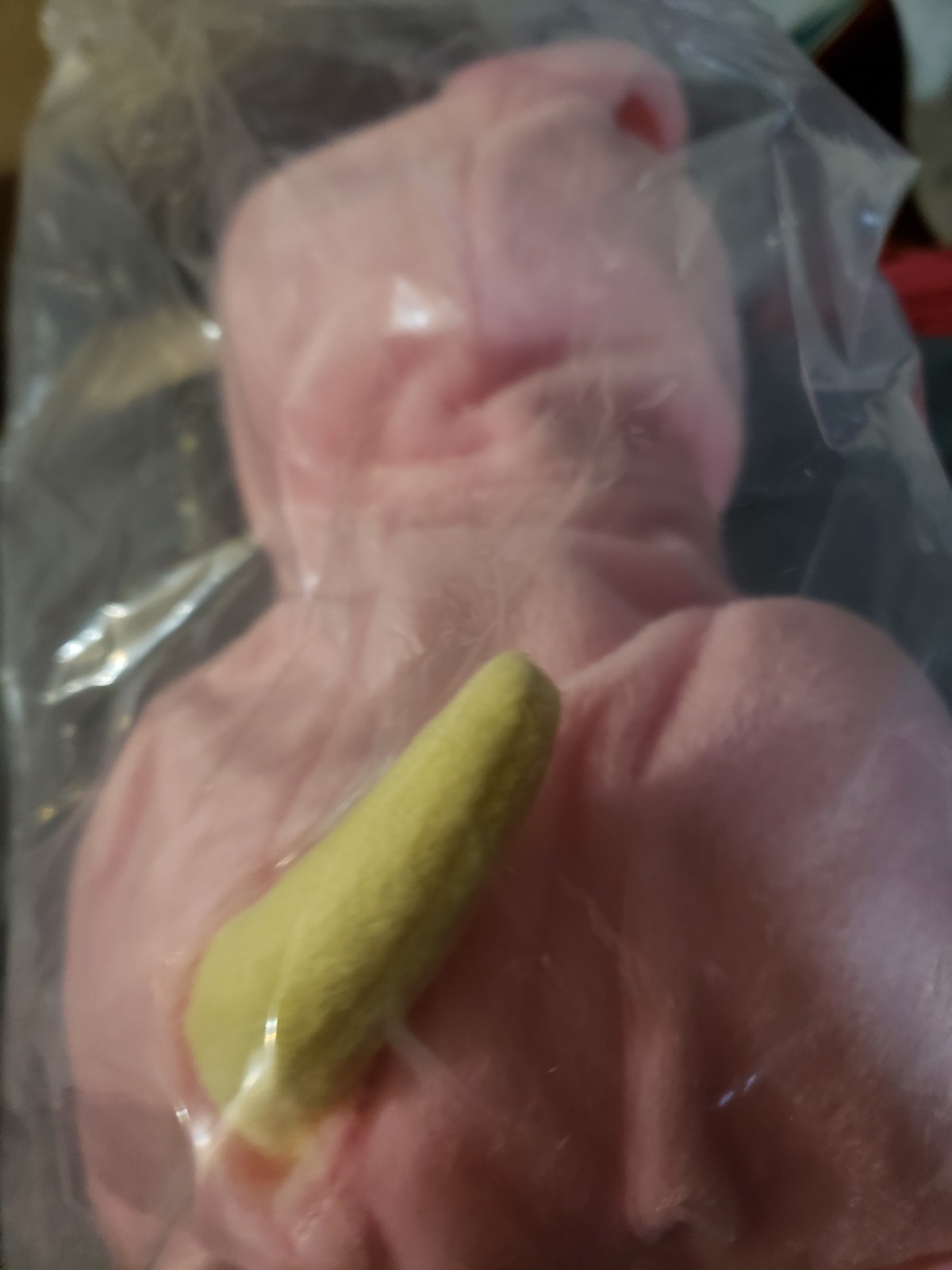 2025 Raising Canes A Christmas Story Ralphie Pink Bunny Cane Puppy Dog Plush