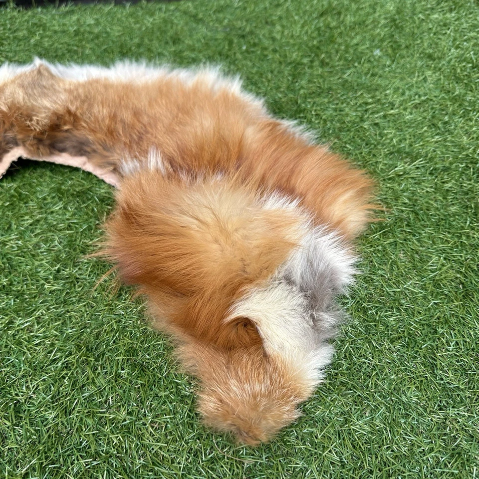 Bufanda envolvente vintage de piel de zorro rojo suave esponjosa con cuello de estola hecha a mano con cierre Foto 3 de 4