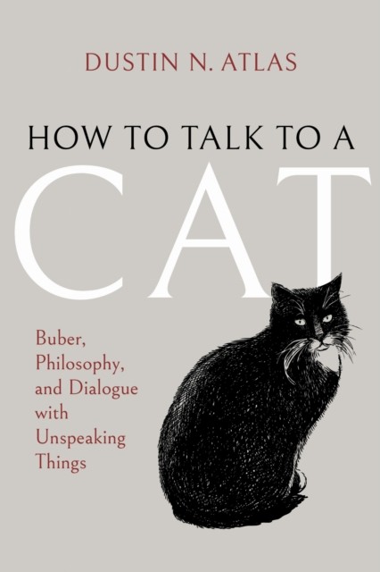 How to Talk to a Cat by Dustin N. Atlas (Paperback Book)