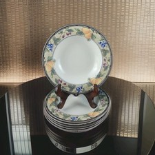 Mikasa Intaglio Garden Harvest CAC29 - Large Rim Soup Bowl - Set of 6