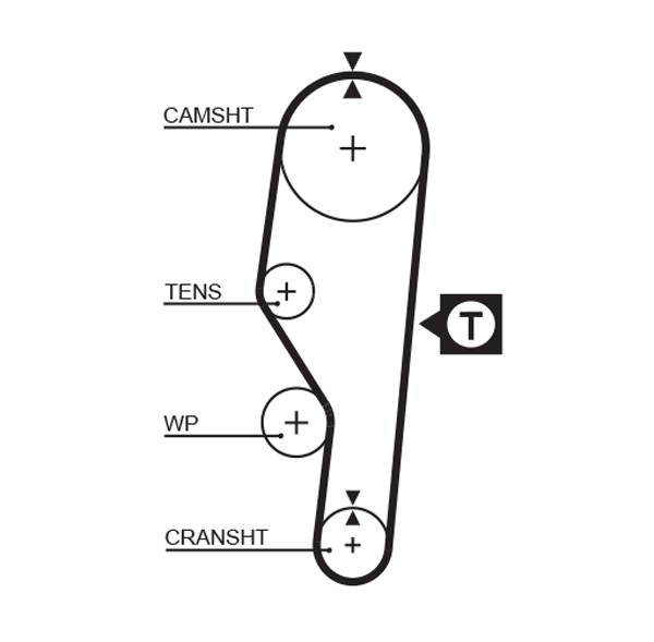 TIMING BELT 5063 FOR SEAT IBIZA/� RONDA MALAGA 021B.2000/D.2000/C.2000 1.5L 4cyl - Image 5