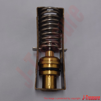 NISSAN PATHFINDER R50 1996-2003 Genuine Thermo Element Kit 16391