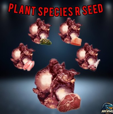  ARK Survival Ascended Plant R Seed PVE PS5/XBOX/PC