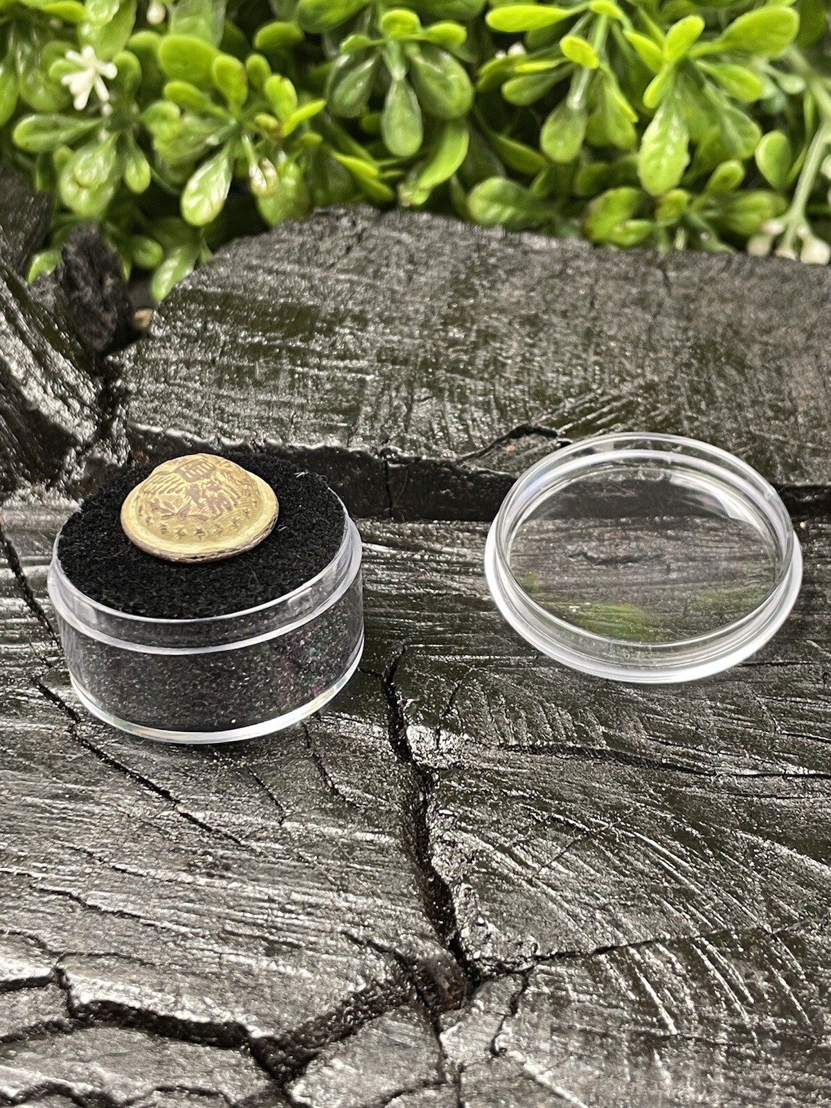 Old Rare Vintage Antique Civil War Relic Officer Staff Vest Button Farmville VA. eBay