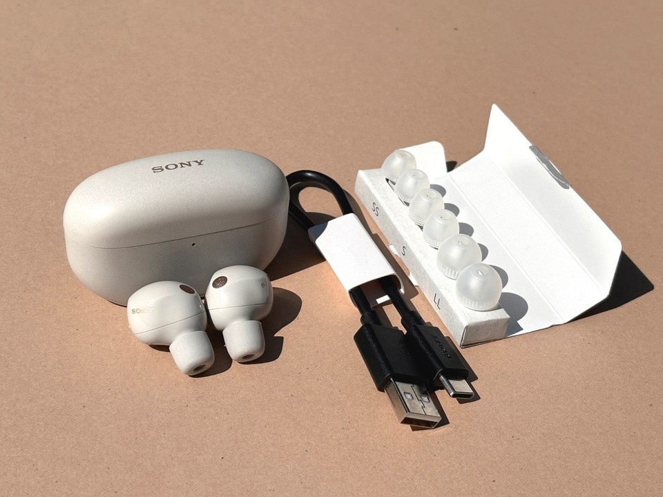 Sony WF-1000XM5/S Auricolari Wireless Bluetooth Cancellazione del Rumore - ARGENTO #E