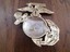 U.S MARINE CORPS EGA GOLD OVERSIZED EAGLE GLOBE & ANCHOR WALL MEDALLION ...