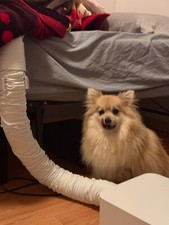 $395 - NEW BedJet 3 Climate Comfort Sleep System, App Control Only