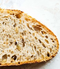 Sourdough Starter Dried Organic 100 Yrs Old San Francisco - 15 Gram Bag