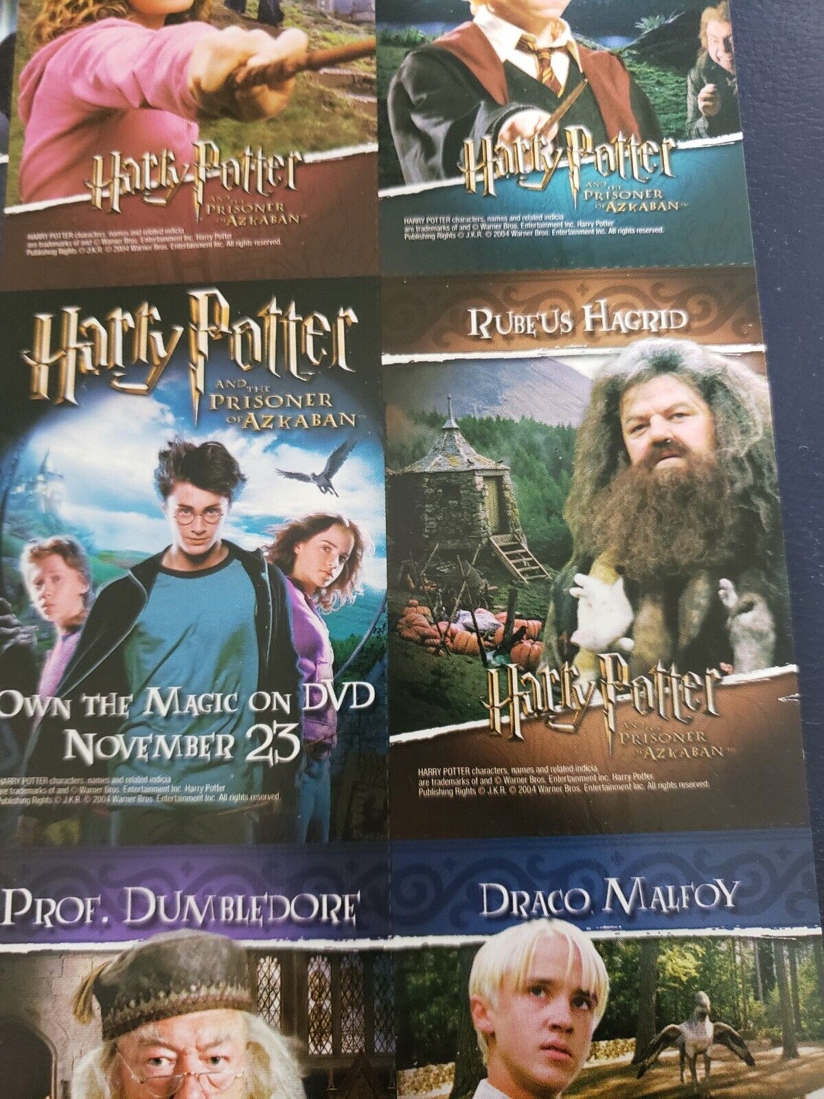 Harry Potter Hermione Granger Sirius Black Ron Weasley Rubeus Hagrid Dumbledore.