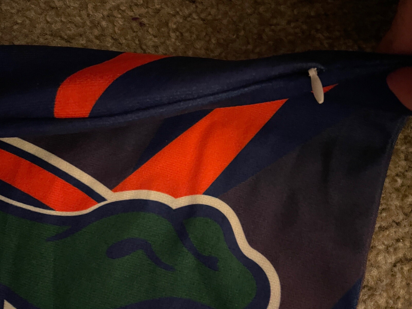 Picture 3 of 4