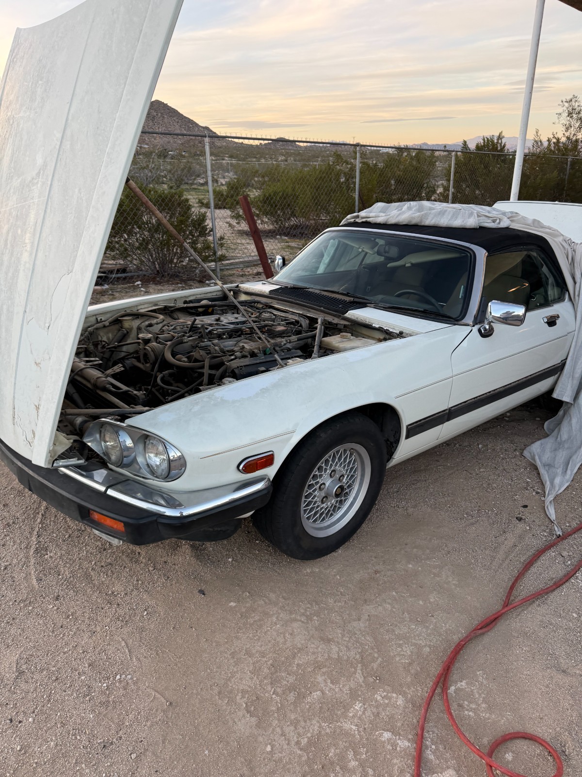 1989 Jaguar XJS for sale in Landers California
