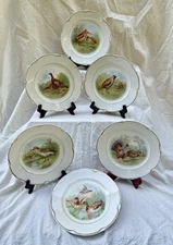 Six Vintage Dresden Cabinet Plates 8.25” Gold Rim Birds Good Condition