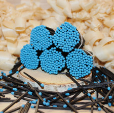Candle Matches- 500 Black Wooden Sticks blue Tips, 4,7 cm 1.85" 