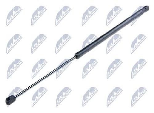 Original NTY Gas Spring Trunk/Loading Area AE-FR-013 For Ford