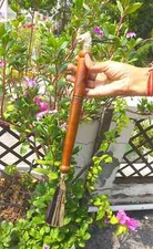 Exquisite 16" Long Metal Shoe Horn Schima Wood Handle Brass Lion Head Home Decor