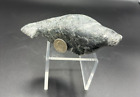 Unique Antique Inuit Eskimo Art Alaska Seal Walrus Stone Carving Sculpture 5.5"!